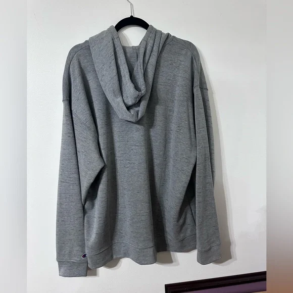 Champion South Carolina Gamecock hoodie. - Picture 2 of 3